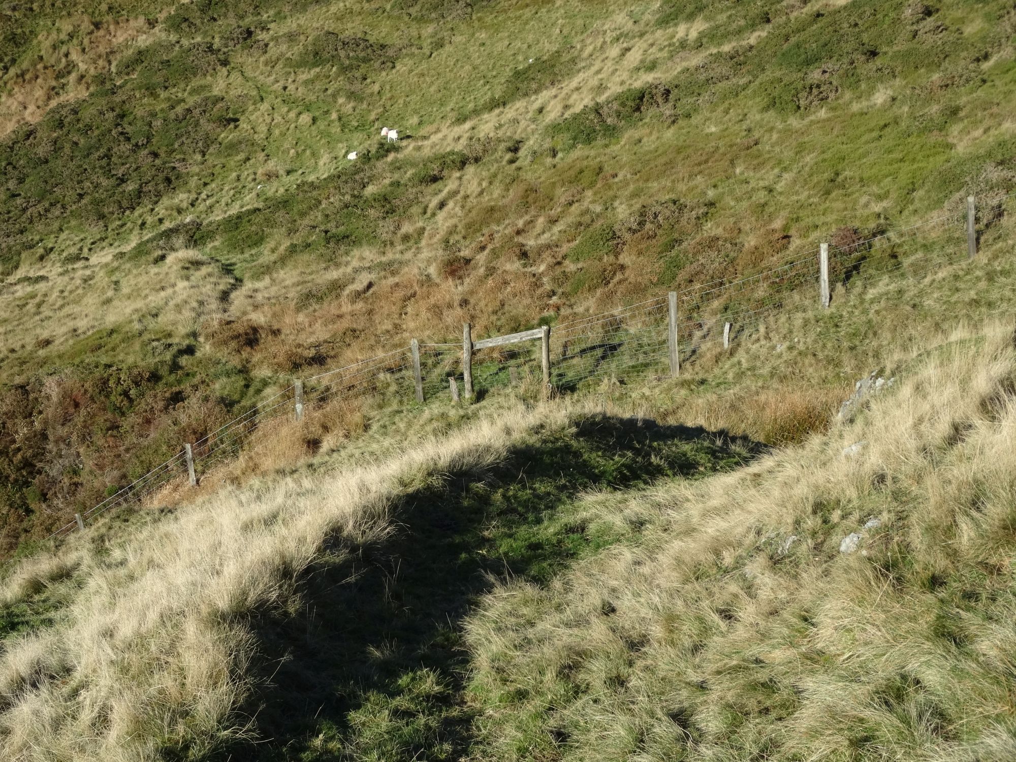 RachelSeabrook.net | Wild Walking | Moel y Llyn | pic06